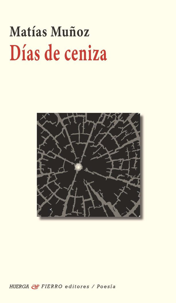 DIAS DE CENIZA, de MUÑOZ, MATIAS | portada del libro