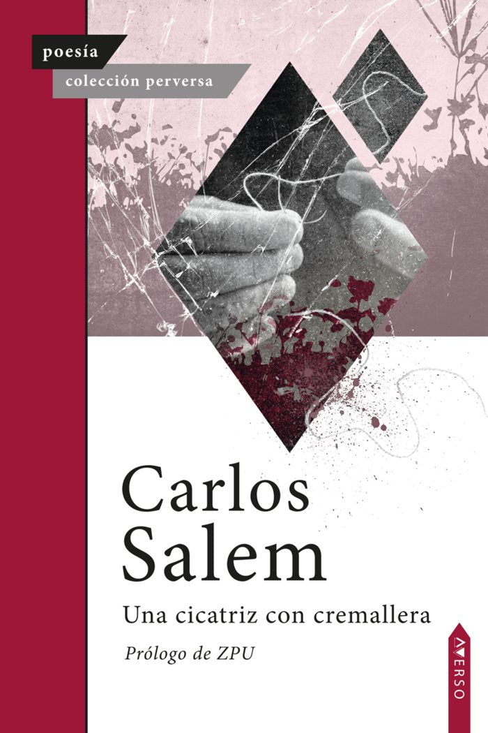 Una cicatriz con cremallera, de , Salem, Carlos | portada del libro