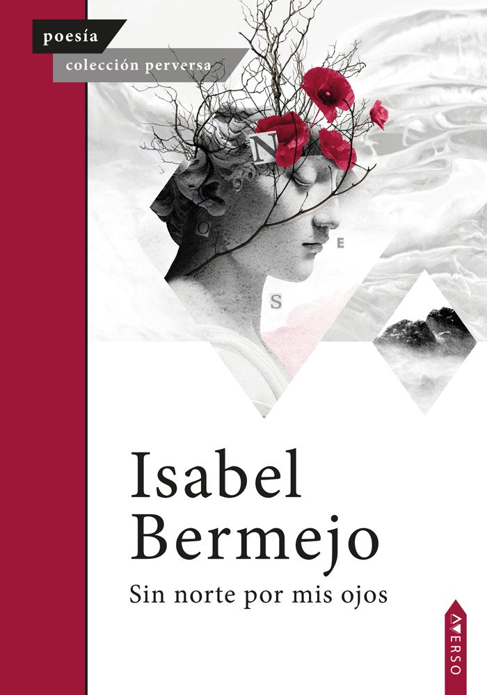Sin norte por mis ojos, de , Bermejo, Isabel | portada del libro