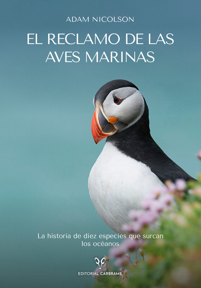 EL RECLAMO DE LAS AVES MARINAS, de NICOLSON, ADAM | portada del libro