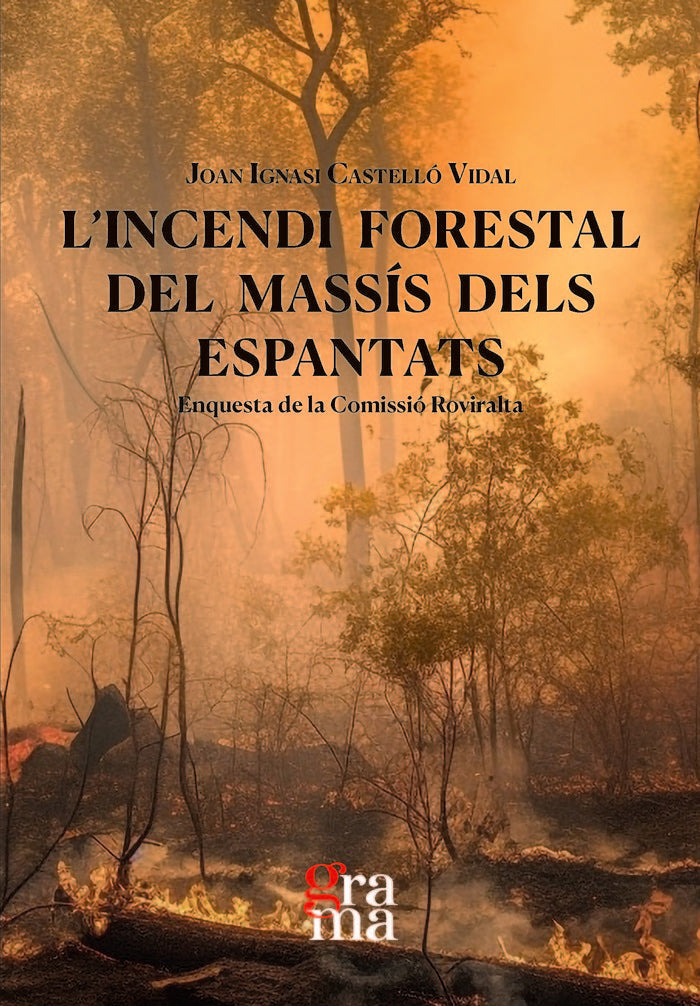 L'INCENDI FORESTAL DEL MASSIS DELS ESPANTATS, de JOAN IGNASI CASTELLO VIDAL | portada del libro