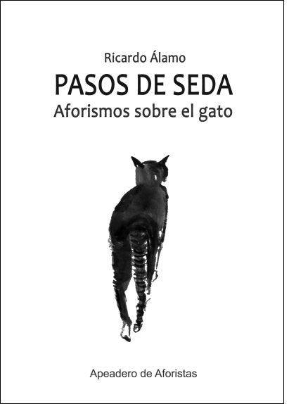 PASOS DE SEDA, de RICARDO ALAMO | portada del libro