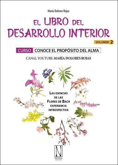 EL LIBRO DEL DESARROLLO INTERIOR VOL 2, de MARIA DOLORES ROJAS | portada del libro