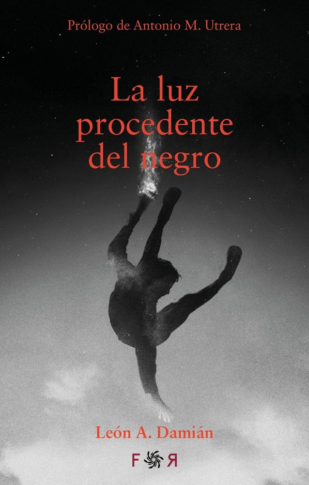 LUZ PROCEDENTE DEL NEGRO, LA, de DAMIAN | portada del libro