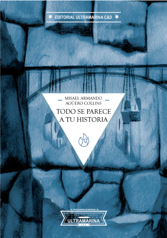Todo se parece a tu historia, de Agûero Collins | portada del libro