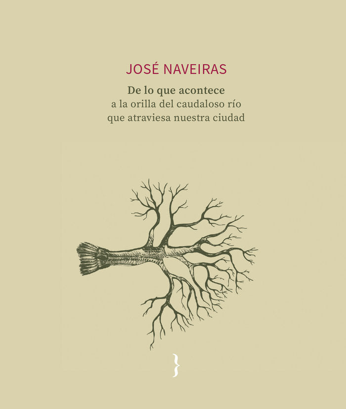 De lo que acontece a la orilla del caudaloso río que atravie, de , Naveiras, José | portada del libro