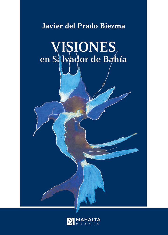 Visiones en Salvador de Bahía, de del Prado Biedma, Javier | portada del libro