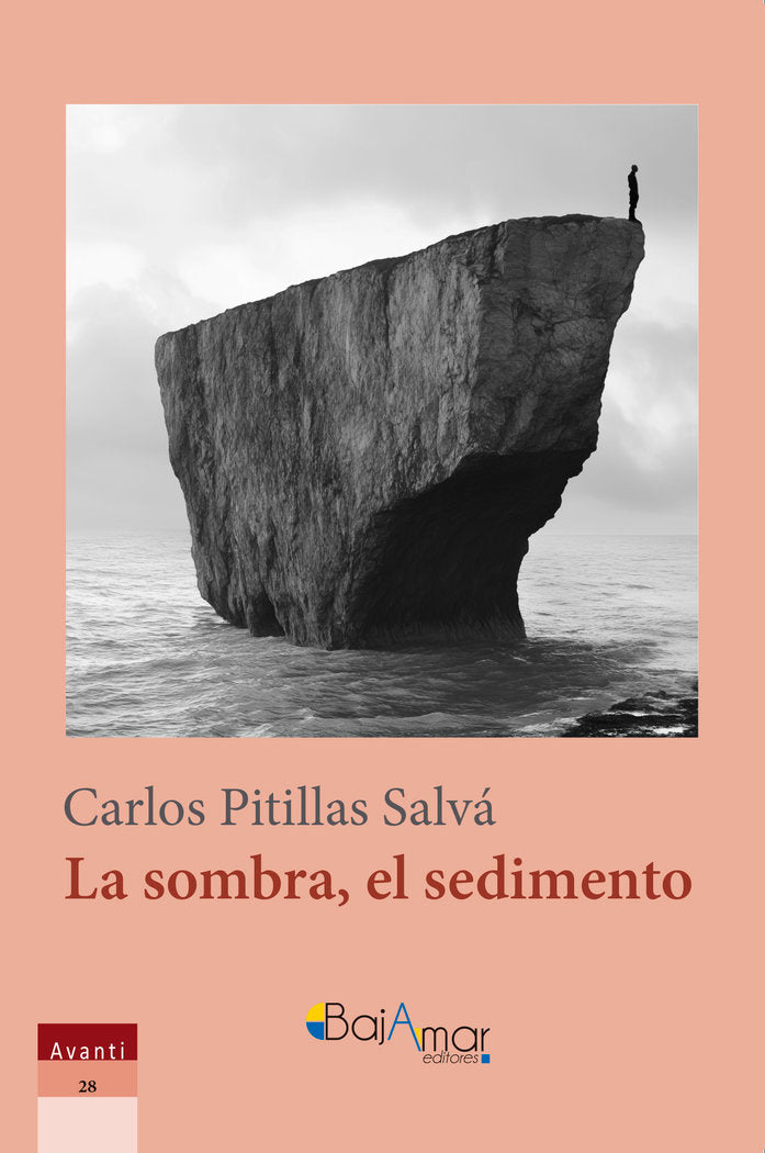 LA SOMBRA, EL SEDIMENTO, de PITILLAS SALVÁ, CARLOS | portada del libro