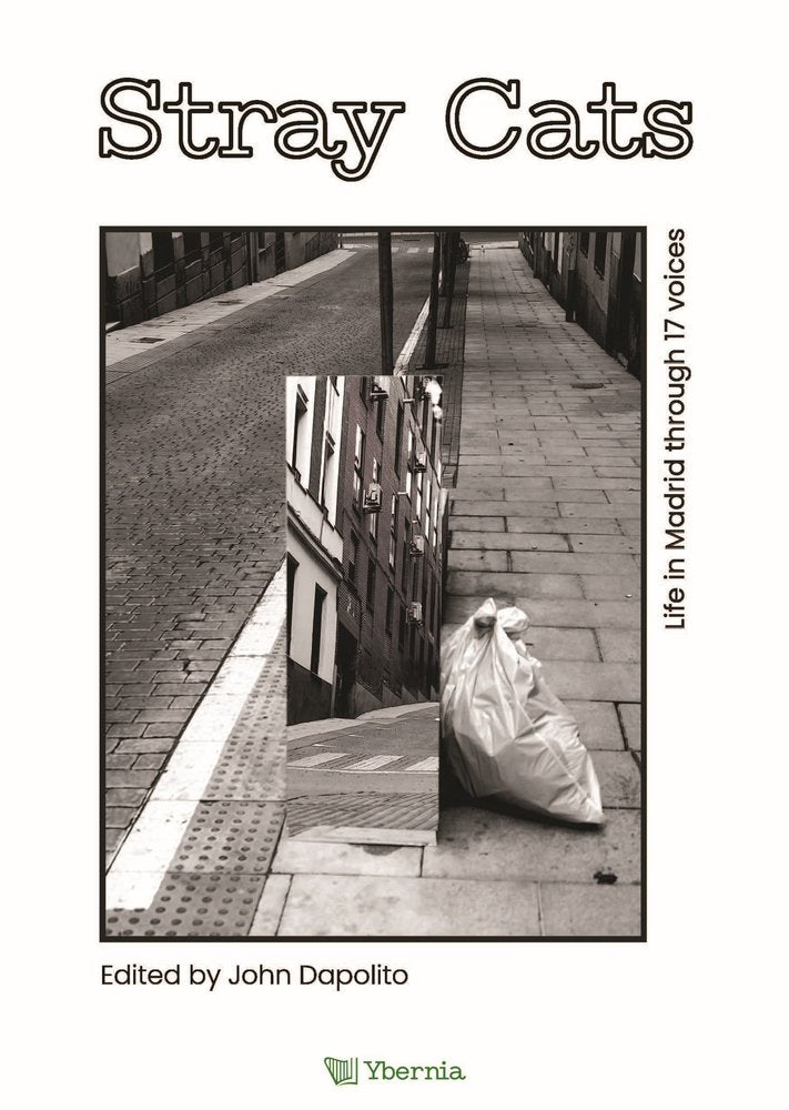 Stray Cats, de Dapolito, John | portada del libro