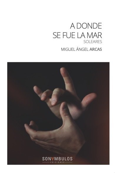 A DONDE SE FUE LA MAR, de ARCAS GOMEZ, MIGUEL ANGEL | portada del libro