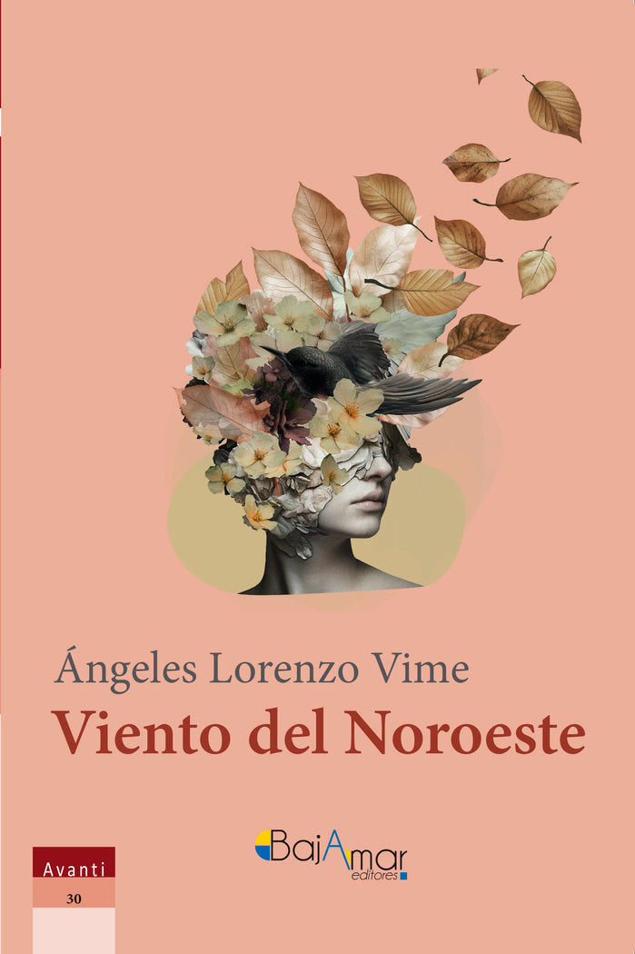 VIENTO DEL NOROESTE, de LORENZO VIME, ÁNGELES | portada del libro