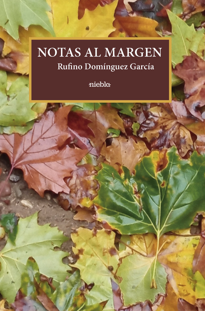 Notas al margen, de Domínguez García, Rufino | portada del libro