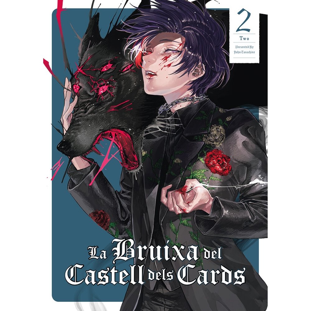 LA BRUIXA DEL CASTELL DELS CARDS, de TARACHINE | portada del libro