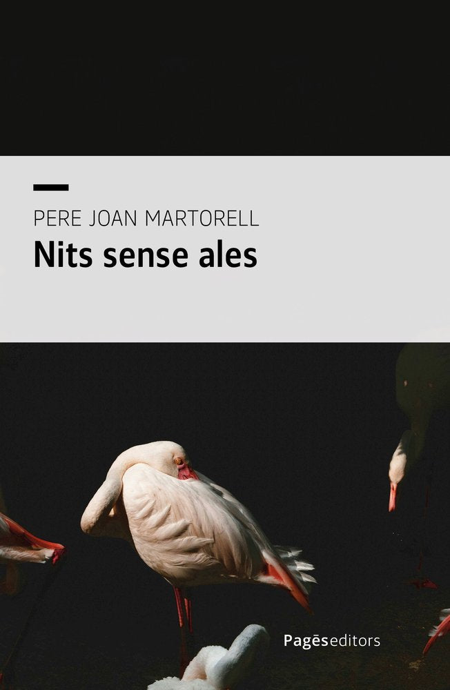 NITS SENSE ALES, de MARTORELL CASTELLO, PERE JOAN | portada del libro