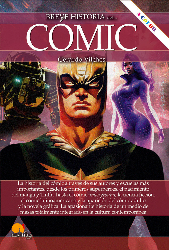 BH DEL COMIC N.E. COLOR, de VILCHES FUENTES | portada del libro