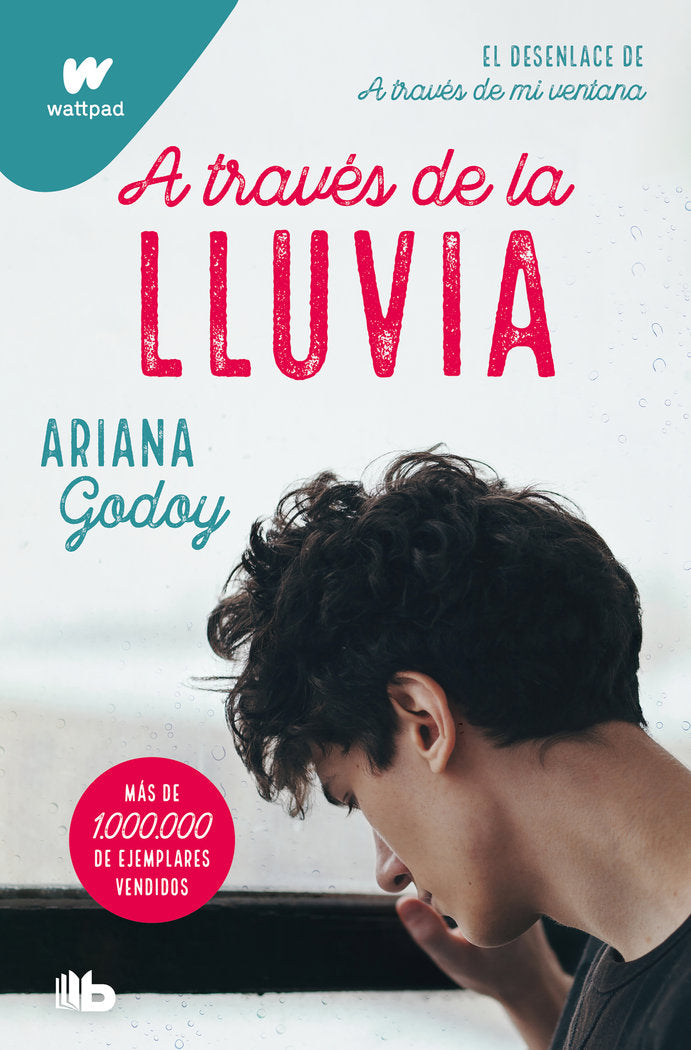 A TRAVES DE LA LLUVIA, de GODOY, ARIANA | portada del libro