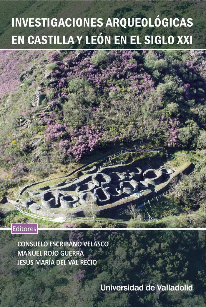 INVESTIGACIONES ARQUEOLOGICAS EN CASTILLA Y LEON EN EL SIGLO, de ESCRIBANO VELASCO, CONSUELO | portada del libro