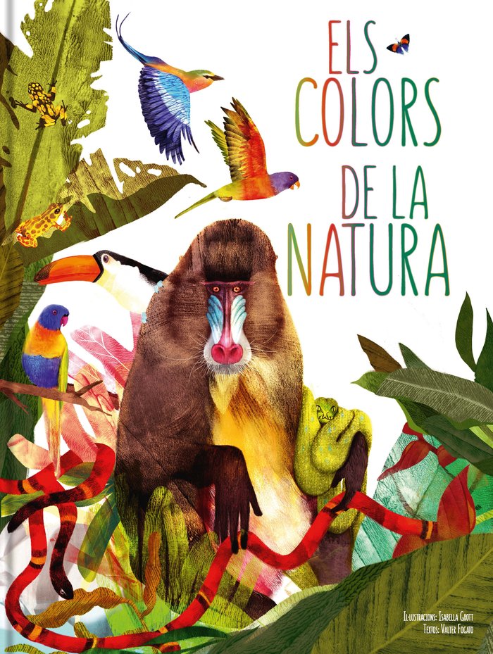 ELS COLORS DE LA NATURA | portada del libro