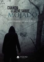 Cuando llueve sobre mojado, de JESUS ENRIQUE BLANCO RUIZ | portada del libro