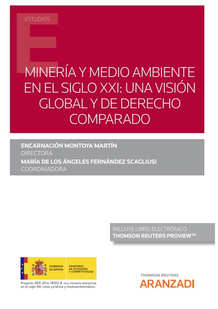 MINERIA Y MEDIO AMBIENTE EN EL SIGLO XXI UNA VISION GLOBAL Y, de ENCARNACION MONTOYA | portada del libro