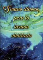 Somos dioses, pero lo hemos olvidado, de NOEMI A.R. | portada del libro