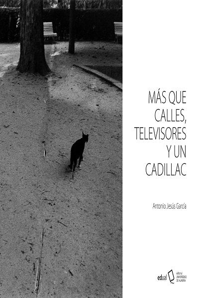 MAS QUE CALLES TELEVISORES Y UN CADILLAC | portada del libro