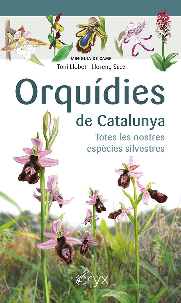 ORQUIDIES DE CATALUNYA, de S·EZ GOÑALONS, LLORENÇ | portada del libro