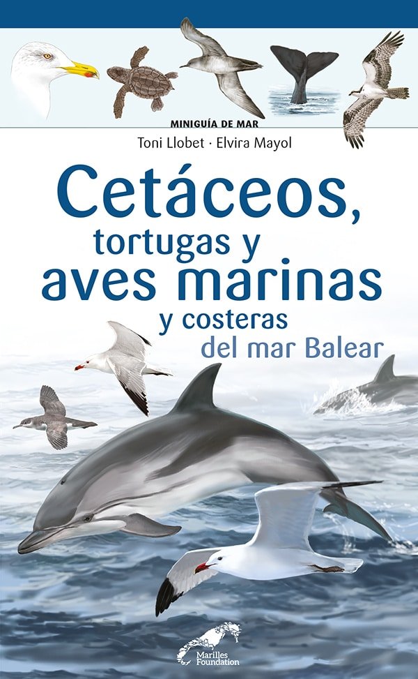 CETACEOS TORTUGAS Y AVES MARINA Y COSTERAS DEL MAR BALEAR, de ELVIRA MAYOL | portada del libro