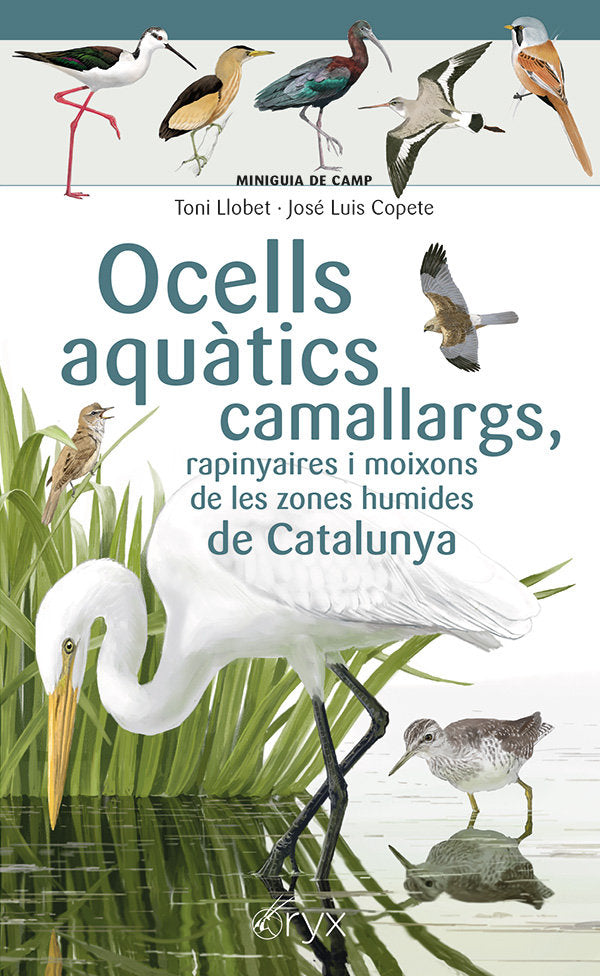 OCELLS AQUATICS CAMALLARGS, RAPINYAIRES I MOIXONS DE LES ZONES HU, de COPETE, JOSE LUIS | portada del libro
