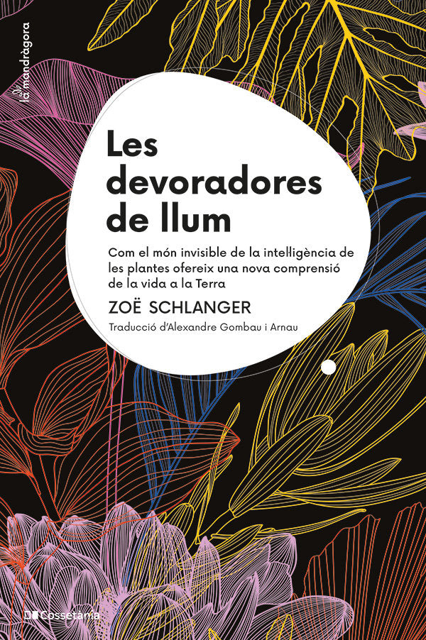 DEVORADORES DE LLUM, LES, de SCHLANGER, ZOE | portada del libro