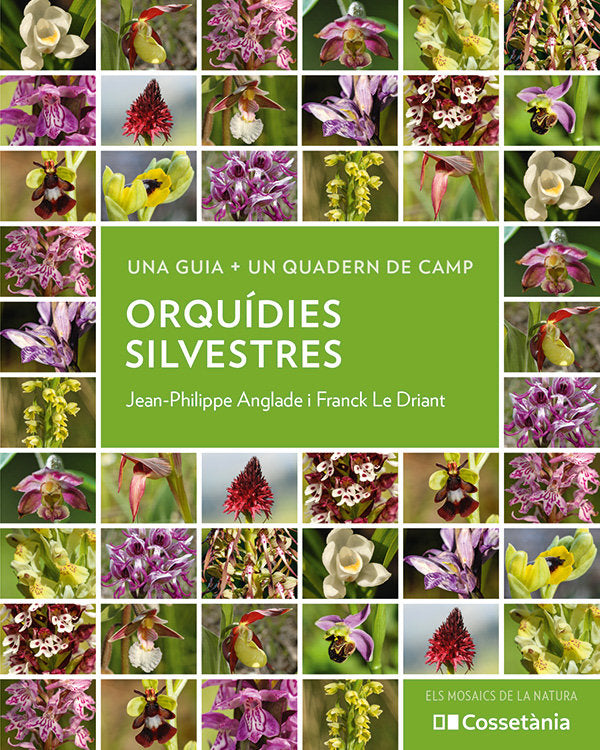 ORQUIDIES SILVESTRES, de JEAN-PHILIPPE ANGLAD | portada del libro