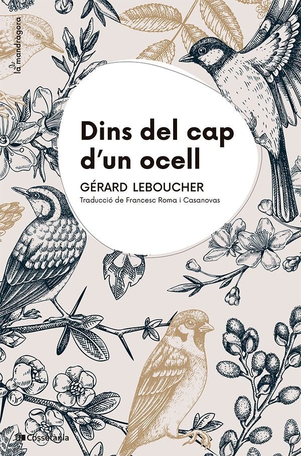 DINS DEL CAP D'UN OCELL, de LEBOUCHER, GERARD | portada del libro