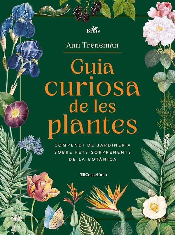 GUIA CURIOSA DE LES PLANTES, de TRENEMAN, ANN | portada del libro