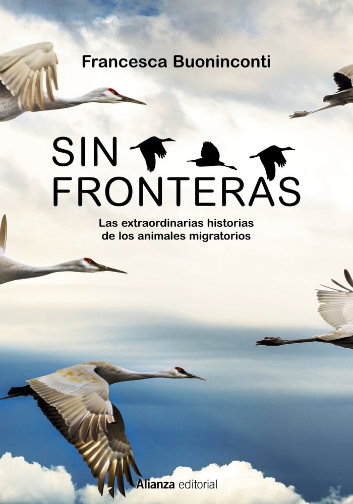 Sin fronteras, de BUONINCONTI, FRANCESCA | portada del libro
