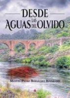 Desde las aguas del olvido, de Bernáldez Bernáldez | portada del libro