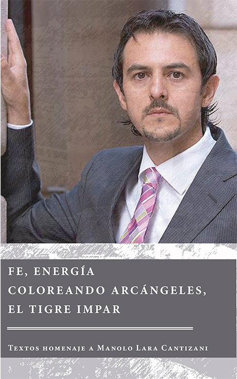 FE ENERGIA COLOREANDO ARCANGELES EL TIG, de RUIZ RODRIGUEZ, IGNACIO | portada del libro