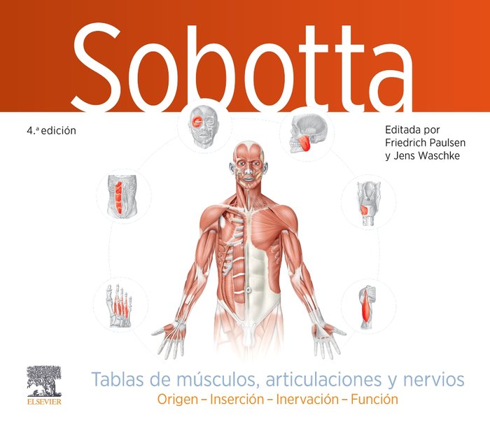 SOBOTTA TABLAS DE MUSCULOS ARTICULACIONES Y NERVIOS 4ª ED, de PAULSEN | portada del libro