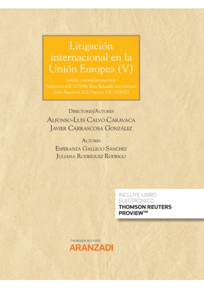 LITIGACION INTERNACIONAL EN LA UNION EUROPEA V | portada del libro