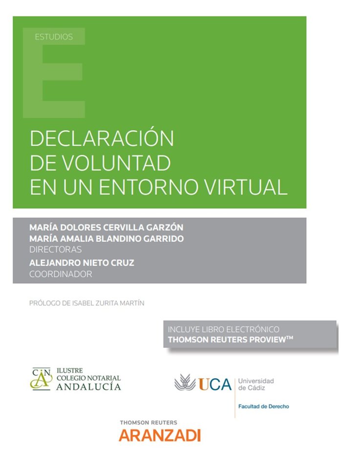 DELARACION DE VOLUNTAD EN UN ENTORNO VIRTUAL, de ALEJANDRO NIETO CRUZ | portada del libro