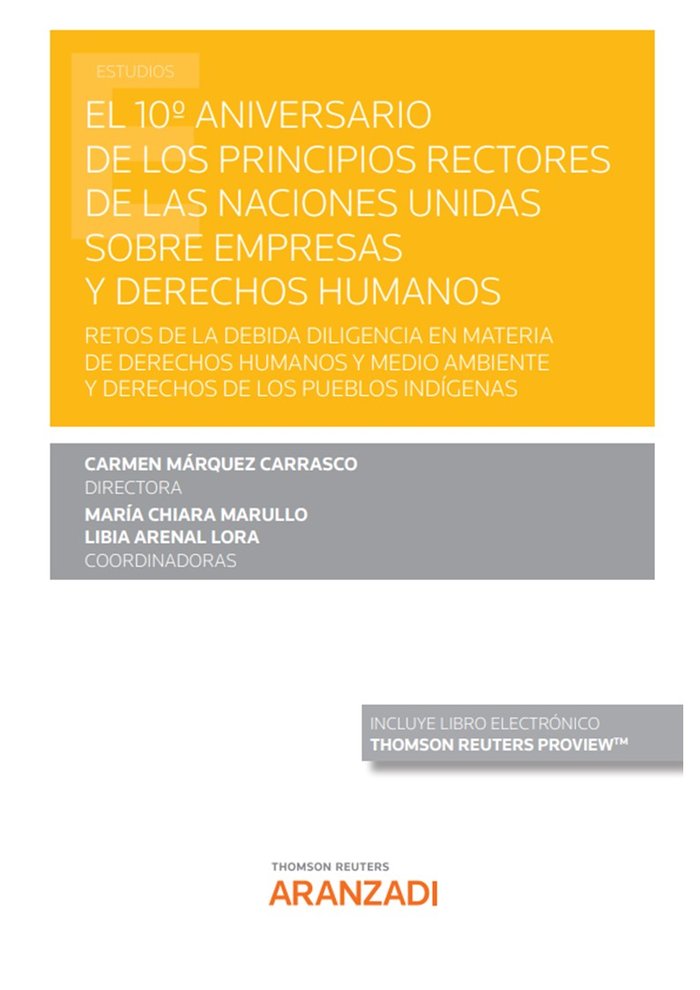 EL 10º ANIVERSARIO DE LOS PRINCIPIOS RECTORES DE LAS NACIONE, de CARMEN MARQUEZ CARRASCO, LIBIA ARENAL LO | portada del libro
