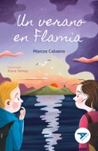 Un verano en Flamia, de Marcos Calveiro | portada del libro