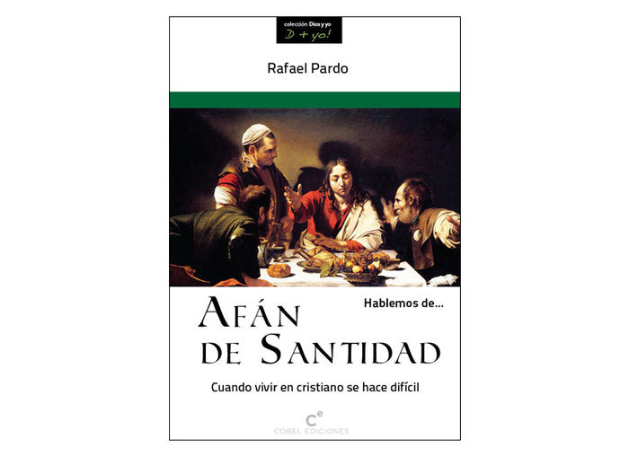 HABLEMOS DE-- AFAN DE SANTIDAD, de PARDO FERNANDEZ, RAFAEL | portada del libro