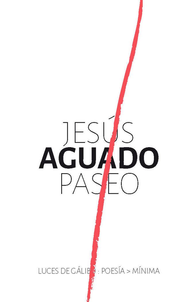 PASEO, de AGUADO, JESúS | portada del libro