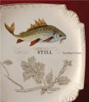 Still, de Gaona, Guadalupe | portada del libro