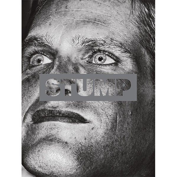 STUMP, de Anderson, Christopher | portada del libro