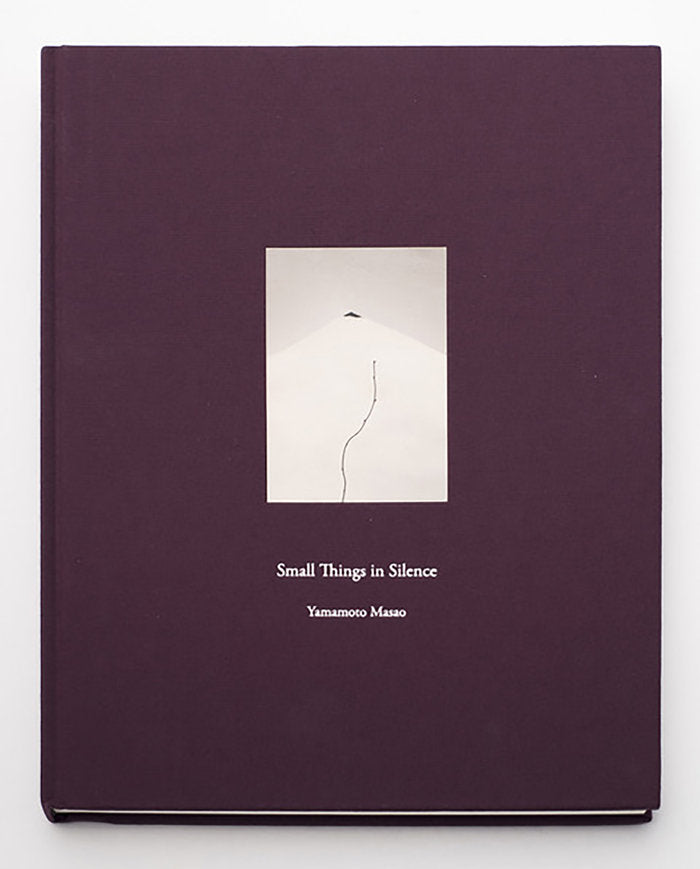 SMALL THINGS IN SILENCE *, de Masao | portada del libro