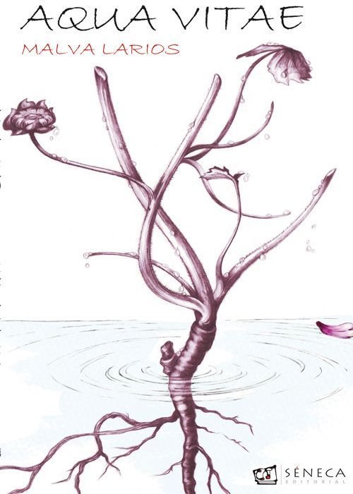AQUA VITAE, de Álvarez Larios, Pilar | portada del libro