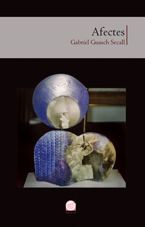 AFECTES, de GUASCH SECALL, GABRIEL | portada del libro