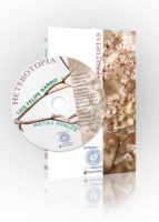 HETEROTOPIAS + CD, de MATIAS AVALOS | portada del libro