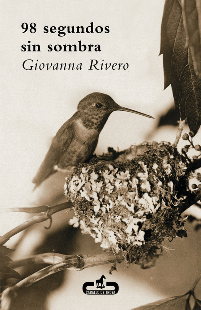 Noventa y ocho segundos sin sombra, de RIVERO | portada del libro